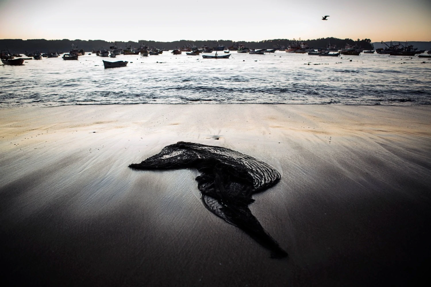 Humanscale improves health and comfort in the workplace