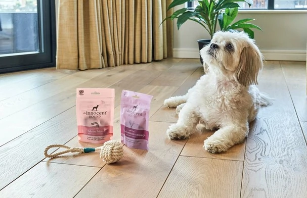 The Pawfect Stay STAY launch a collaboration with The Innocent Hound